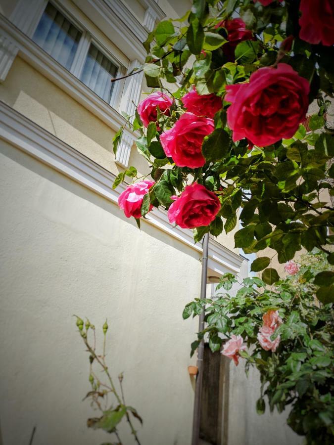 All Seasons Apartments Shkodër 외부 사진
